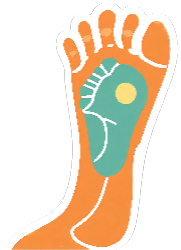 pied reflexologie